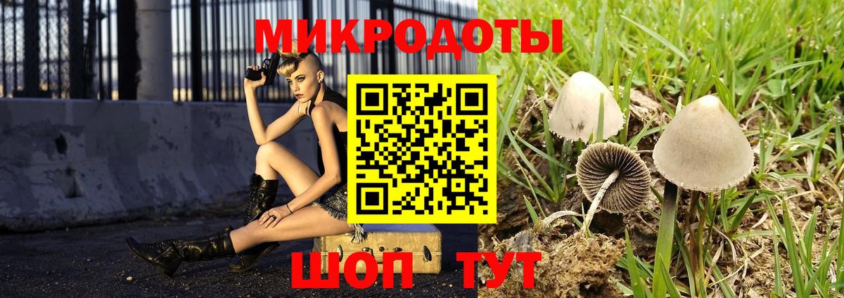 Орёл  Галлюциногенные грибы GOLDEN TEACHER  где купить наркоту  Вход с VPN 