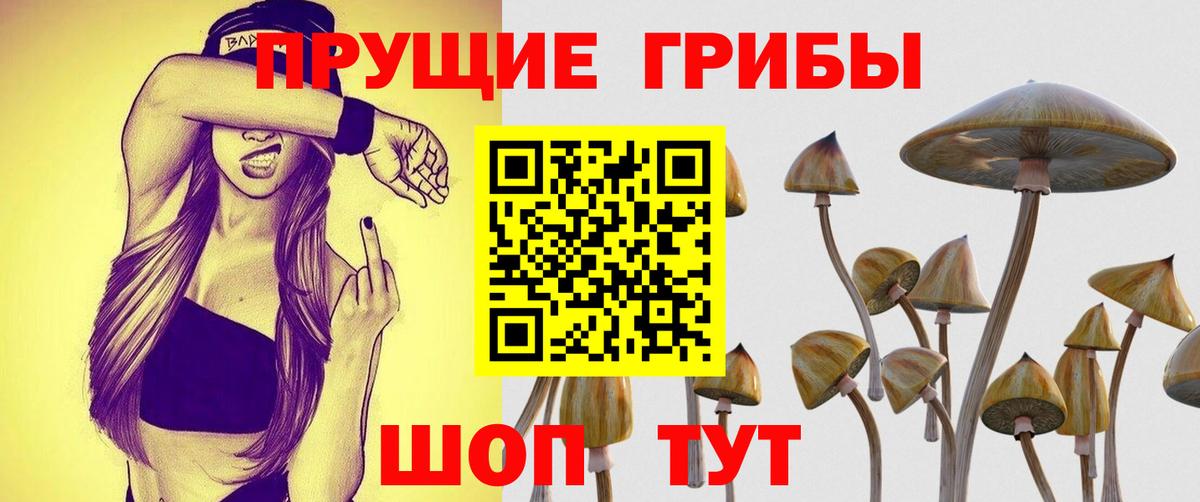 Галлюциногенные грибы мухоморы Орёл